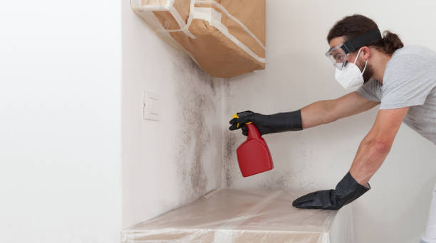 Attic Mold Remediation treatment on roof deck in Central City