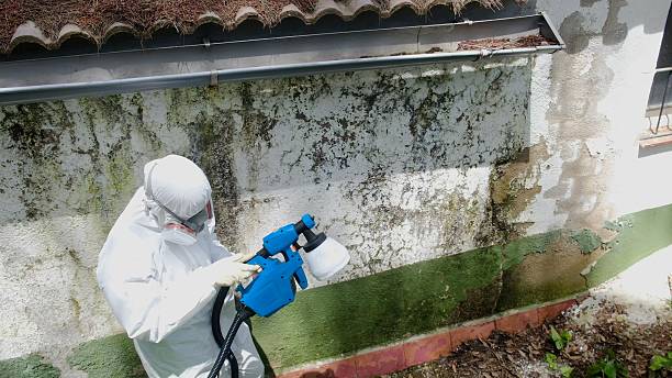 Mold Remediation service in Central City, Central City, PA